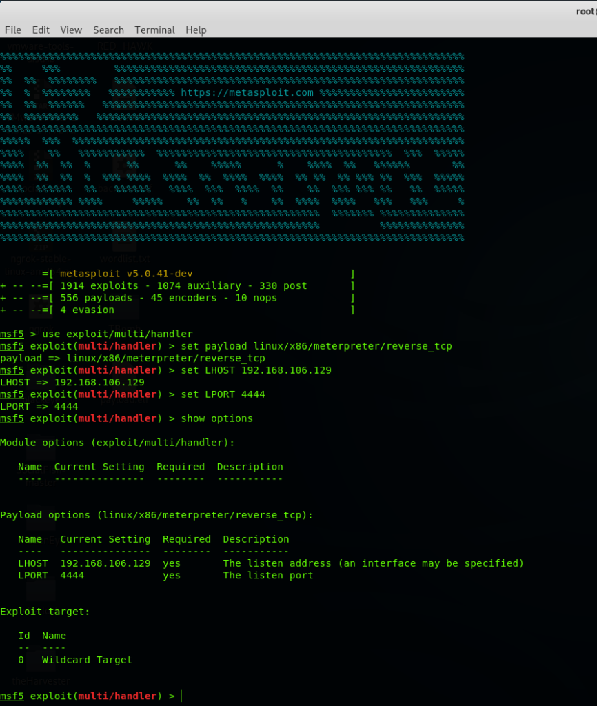 Hacking Web Server: FTP backdoor command execution Hacking Web Server: FTP backdoor command execution