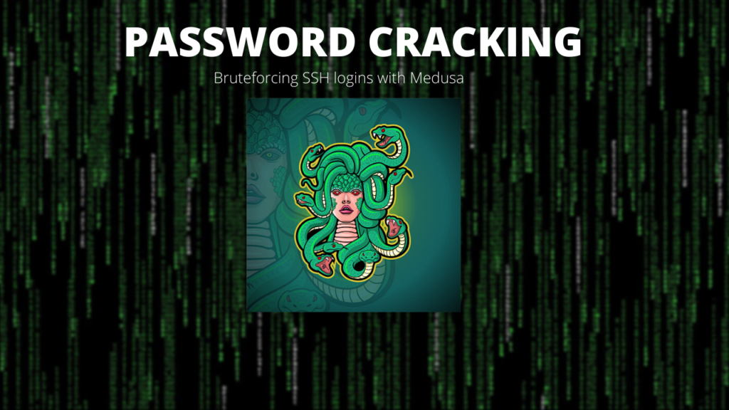 Hacking Web Server: Bruteforcing SSH logins for gaining access