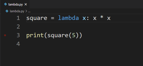 lambda function