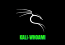Kali-whoami - Stay anonymous while hacking