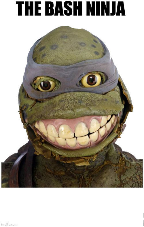 Tryhackme - Bash Scripting The bash ninja
