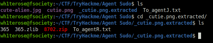 got the zip file