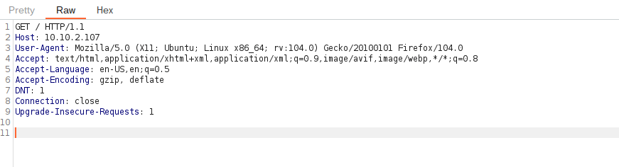 Tryhackme - Burpsuite: Repeater Get / HTTP/1.1