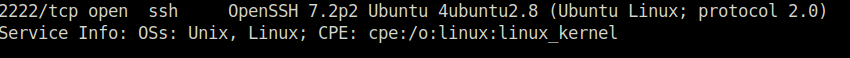 Tryhackme - Simple CTF SSH