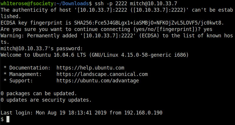 Tryhackme - Simple CTF ssh login