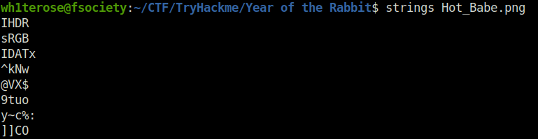Tryhackme - Year of the Rabbit strings Hot_Babe.png