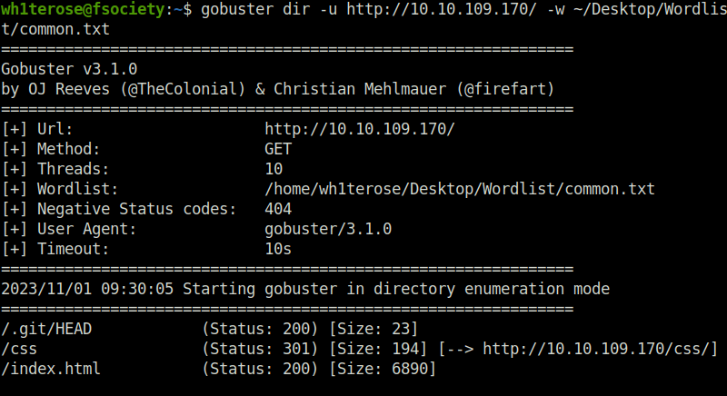 Tryhackme - Git Happens gobuster scan
