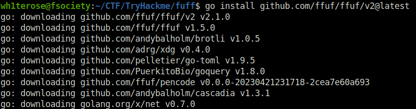 Tryhackme - ffuf ffuf install