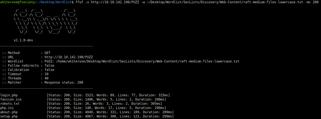 Tryhackme - ffuf result with mc filter