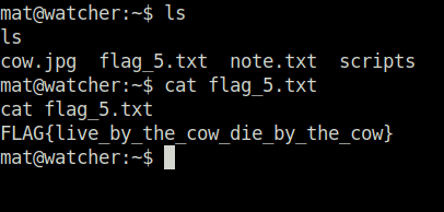 Tryhackme - Watcher flag 5