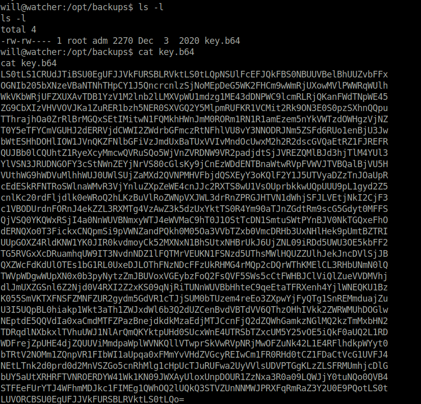 Tryhackme - Watcher cat key.64