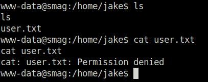Tryhackme - Smag Grotto permission denied