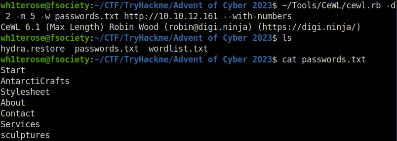Tryhackme - Advent of Cyber 2023 passwords.txt