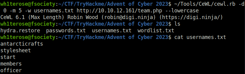 Tryhackme - Advent of Cyber 2023 usernames.txt