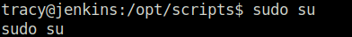 Tryhackme - Advent of Cyber 2023 sudo su