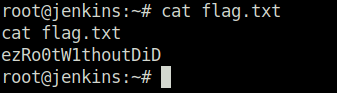 Tryhackme - Advent of Cyber 2023 cat flag.txt