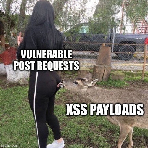 bWAPP - Cross Site Scripting Reflected (POST) Conclusion