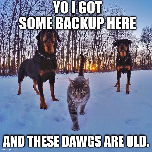 bWAPP - Old, Backup & Unreferenced files Old, Backup & Unreferenced files
