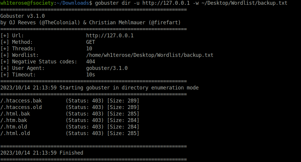 bWAPP - Old, Backup & Unreferenced files gobuster scan