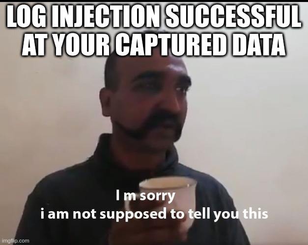 Mutillidae - Application Log Injection (Captured Data) Conclusion