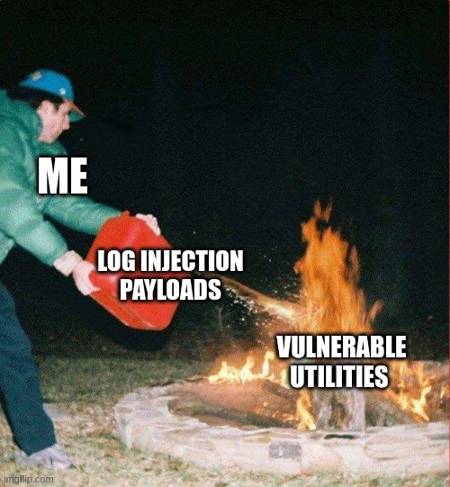 Mutillidae - Application Log Injection (Source Code Viewer) Conclusion