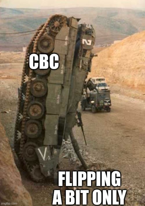 Mutillidae - CBC bit Flipping CBC bit Flipping