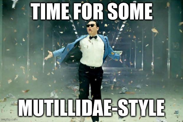 Mutillidae - Frame Source Injection (Styling with Mutillidae) Frame Source Injection (Styling with Mutillidae)