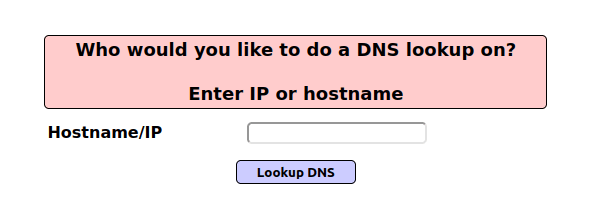 Mutillidae - Application Log Injection (DNS Lookup) DNS Lookup utility