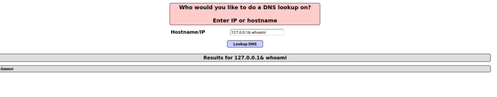 Mutillidae - Application Log Injection (DNS Lookup) Testing Command Injection payload