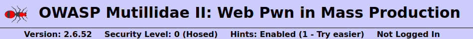 Mutillidae - Frame Source Injection (Styling with Mutillidae) Security level 0