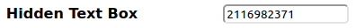 Mutillidae - Client-side Control Challenge Hidden Text Box