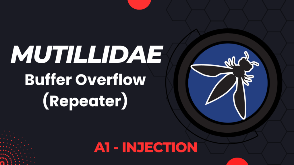 Mutillidae - Buffer Overflow (Repeater)