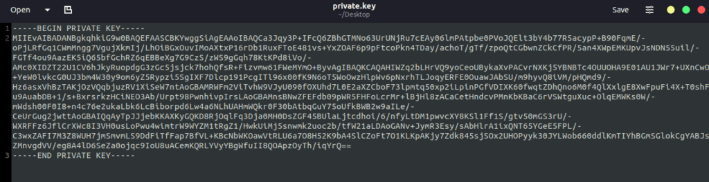 Webgoat - Crypto Basics private.key