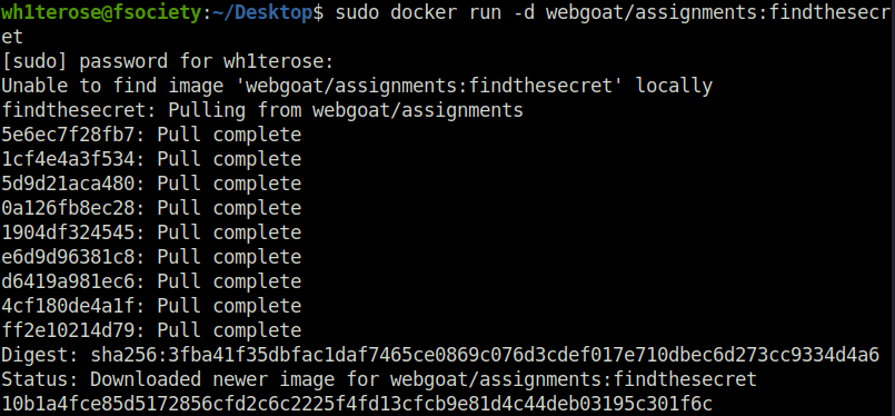 Webgoat - Crypto Basics Webgoat docker container