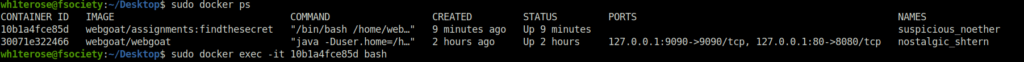 Webgoat - Crypto Basics docker ps