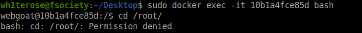 Webgoat - Crypto Basics docker exec