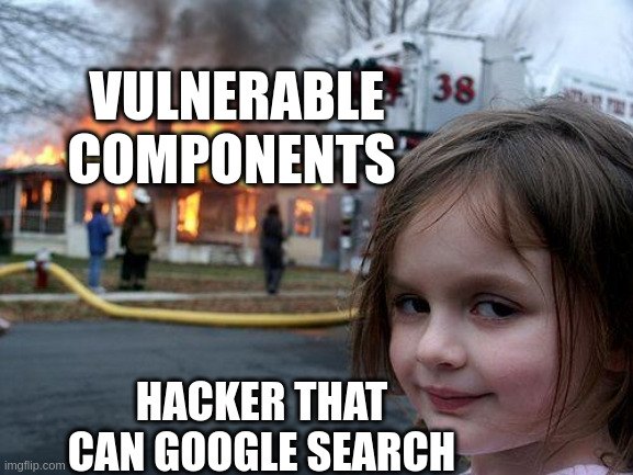 Webgoat - Vulnerable Components Conclusion