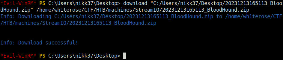 HTB - StreamIO Downloading the zip