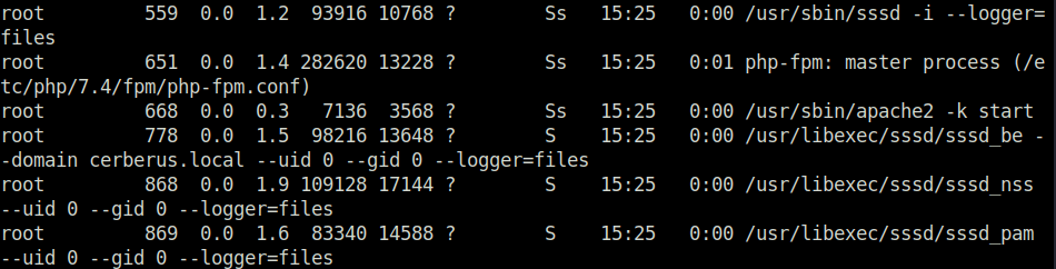 HTB - Cerberus checking the container processes