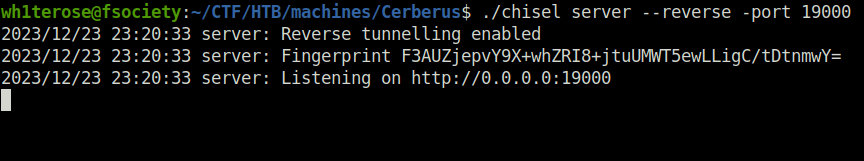 HTB - Cerberus port forwarding 19000