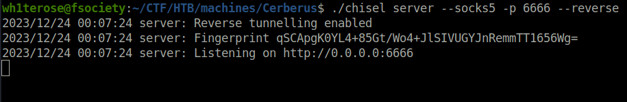 HTB - Cerberus chisel tunneling