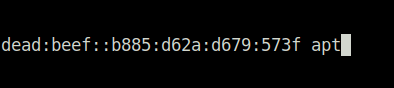 HTB - APT adding hostname